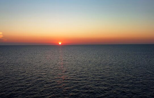 Cosa farne del dolore?